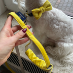 Oh Charlie Yellow Bow Tie Collar