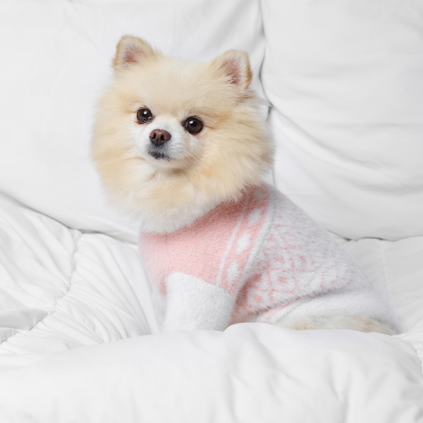 Aristopet pink puppy sweater