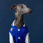 Mookie jacket azul Aristopet
