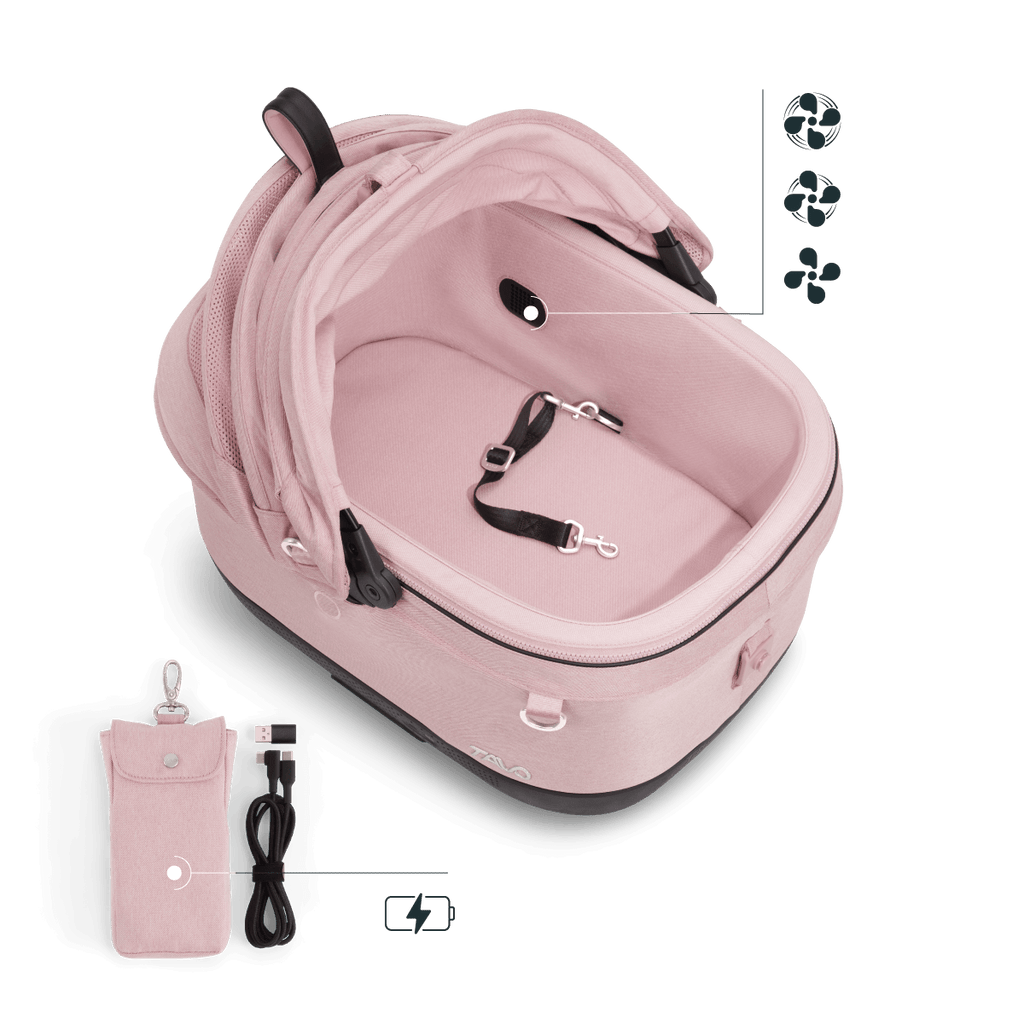 Maeve iso5x wind sakura Tavo
