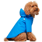 Sarah Blue Raincoat