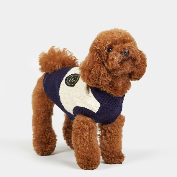 Bruno College Navy Jersey