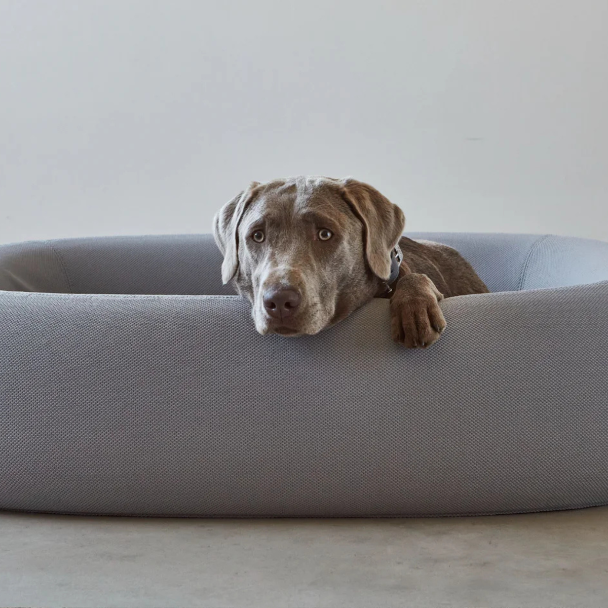 Cama Barca  Hundebett para perros MiaCara