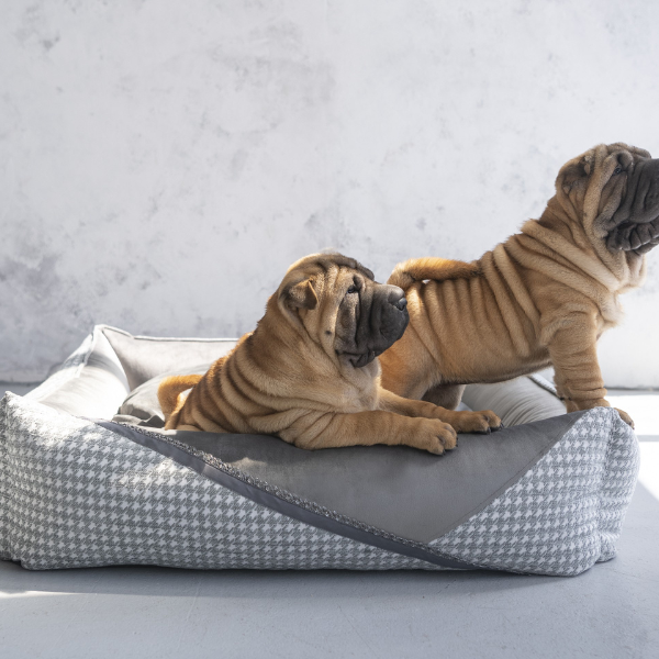 Cama Glamour Deluxe Gris Oh Charlie