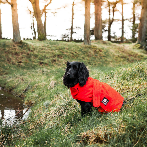 Albornoz para perros Rojo Danish