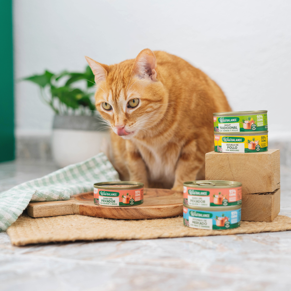 Fisherman's Stew with Salmon & Pork for Cats 80g