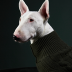 Jersey Aspen Negro
