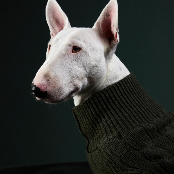 Jersey Aspen Negro