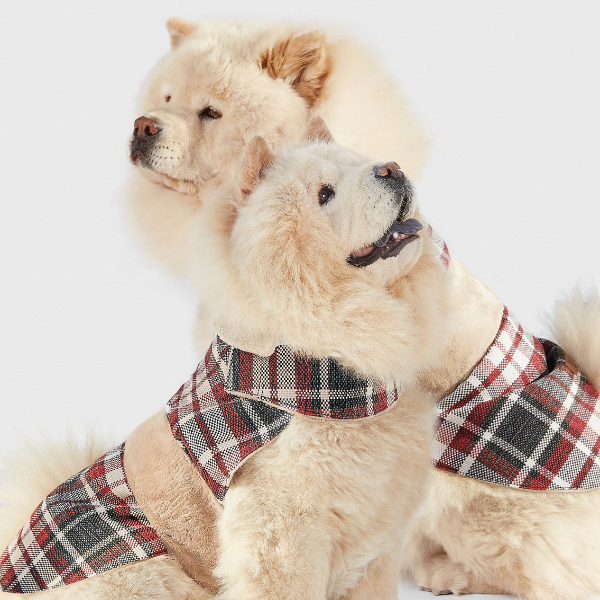 Dog coat Leaf Tartan B&amp;B x Aristopet