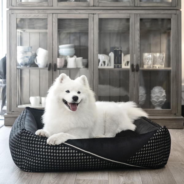Prestige Deluxe Bed Oh Charlie