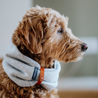 INKO Collar
