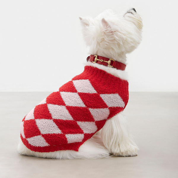 Corocota Red Equestrian Collar
