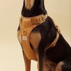 Easy Fit Harness Rosa Maxbone x Aristopet