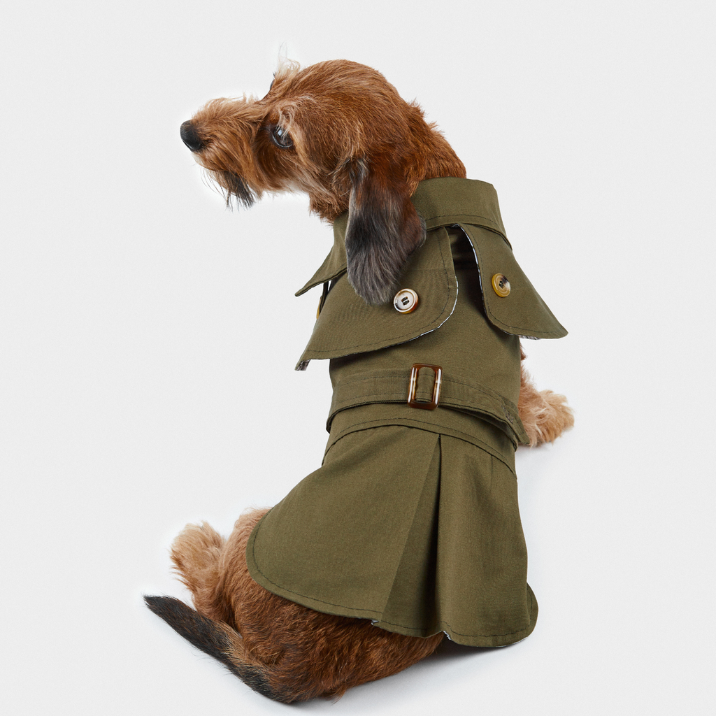 TRENCH VERDE