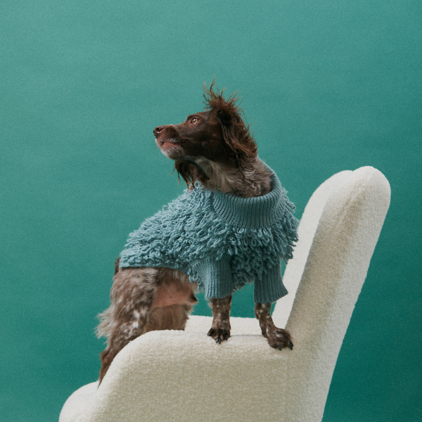 Curly Jumper Rosa Maxbone x Aristopet