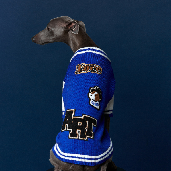 Mookie jacket azul Aristopet