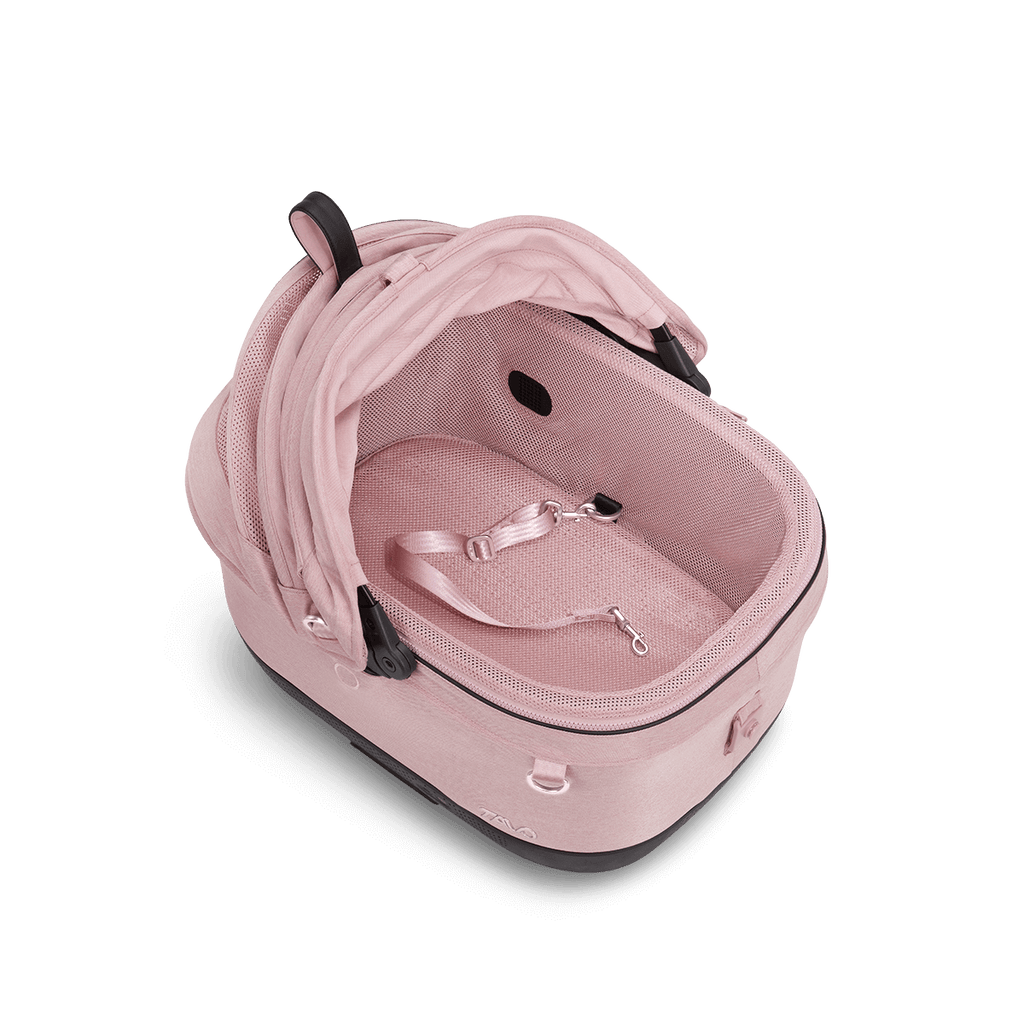Maeve iso5x wind sakura Tavo
