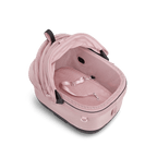 Maeve iso5x wind sakura Tavo