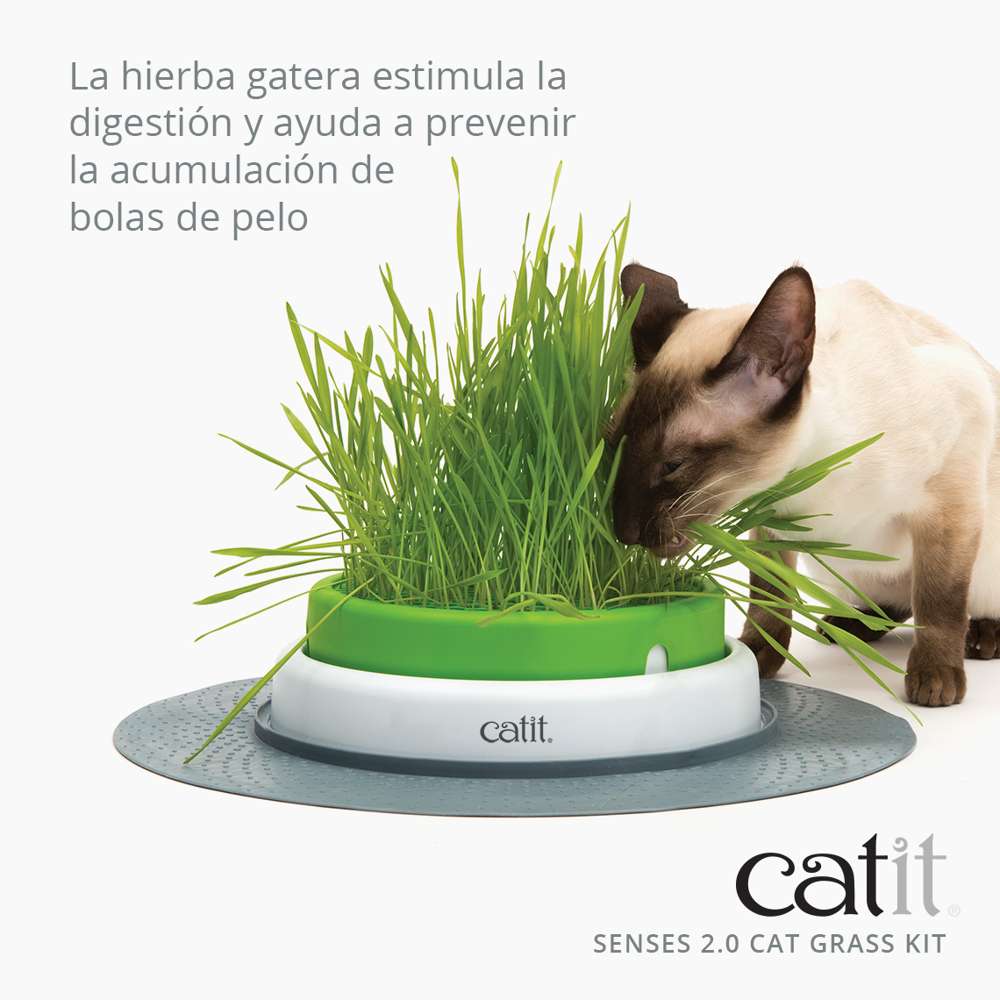 Germinator + grass kit 3 pc