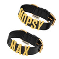 Collar  Anselmo Aristopet