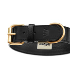 Collar  Anselmo Aristopet