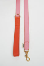 Correa the Wigglers rosa y naranja