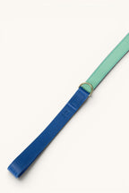 Correa the Wigglers verde y azul