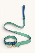 Correa the Wigglers verde y azul