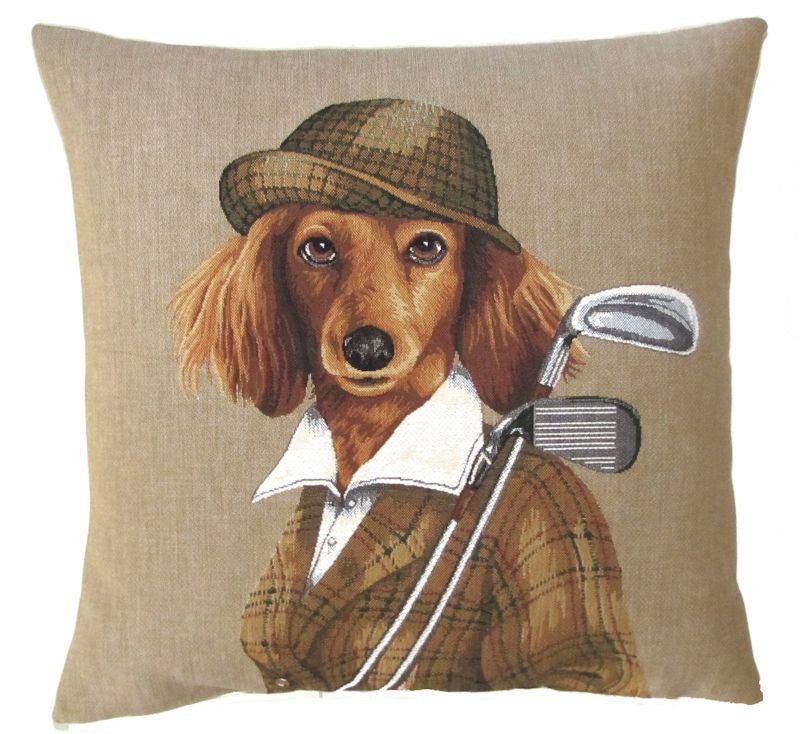Cocker spaniel golf