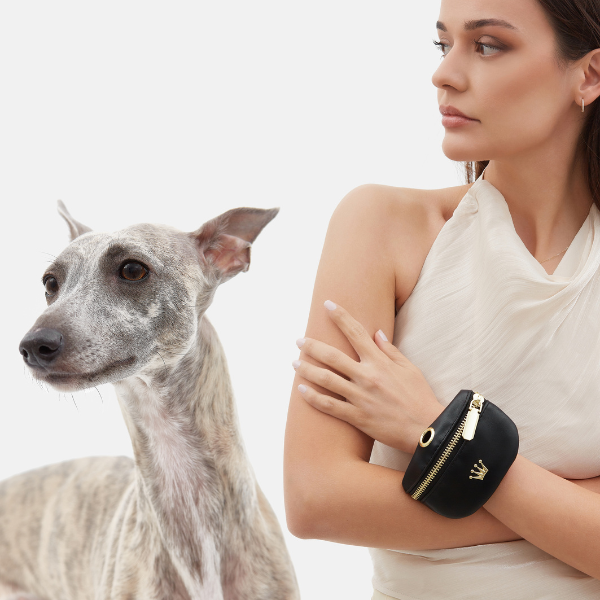 Aristopet dog flap bag