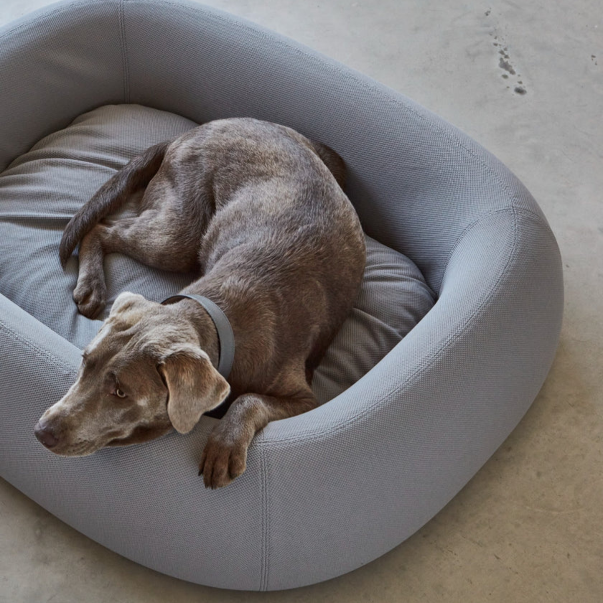 Cama Barca  Hundebett para perros MiaCara