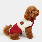 Bruno College Bordeaux Jersey