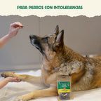 Wild Snacks Healthy Coat