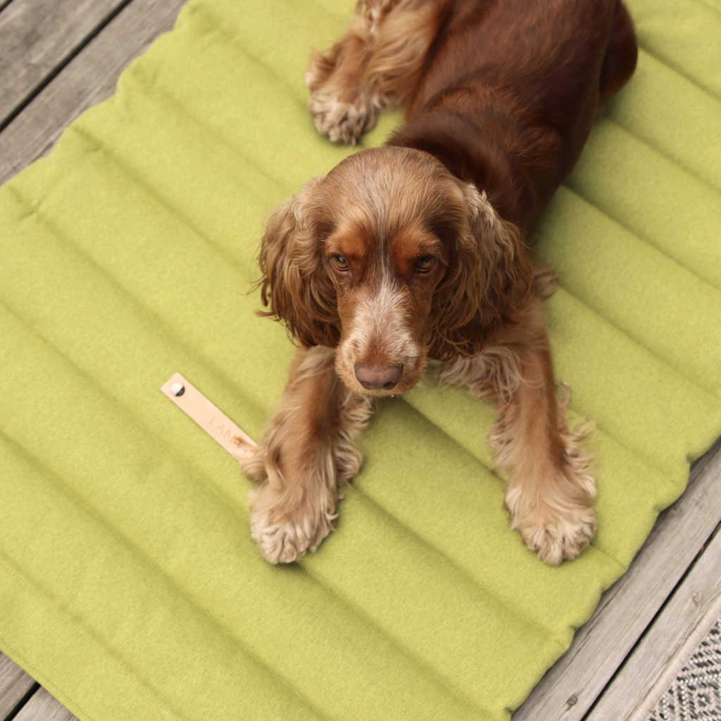 Fosser Carpet
