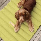 Fosser Carpet