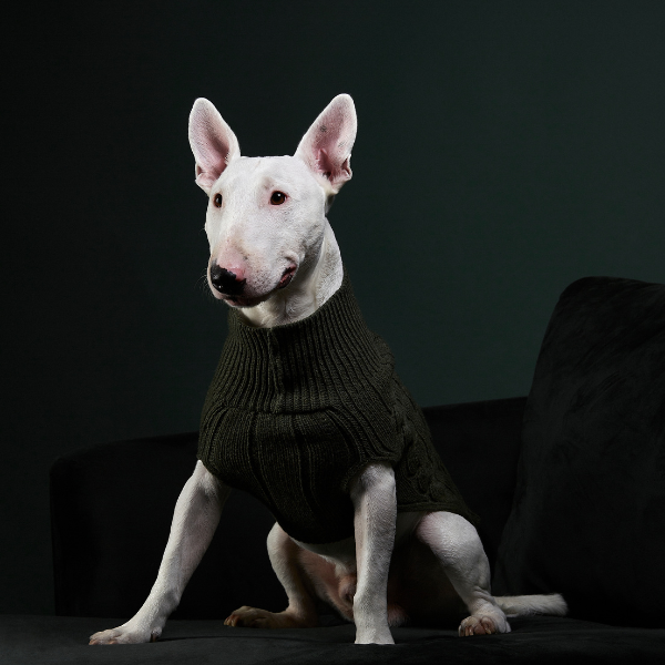 Jersey Aspen Negro
