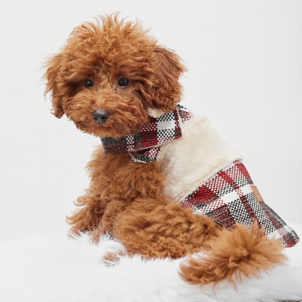 Dog coat Leaf Tartan B&amp;B x Aristopet