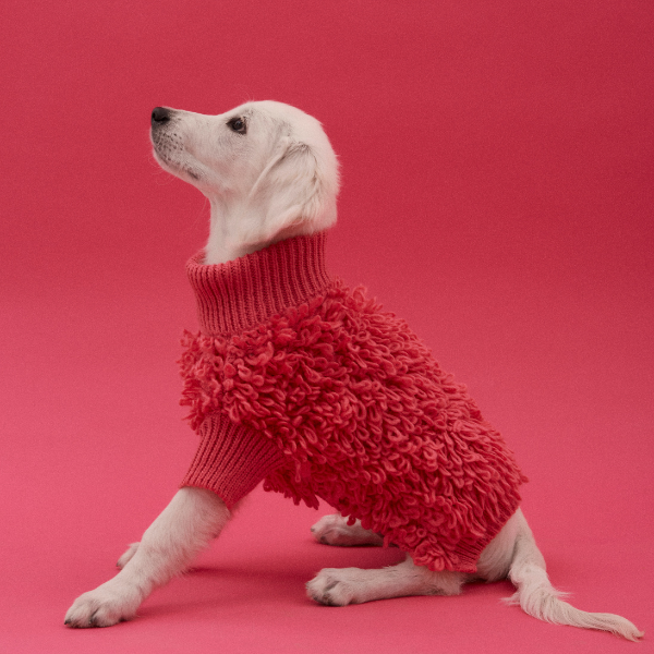 Curly Jumper Rosa Maxbone x Aristopet
