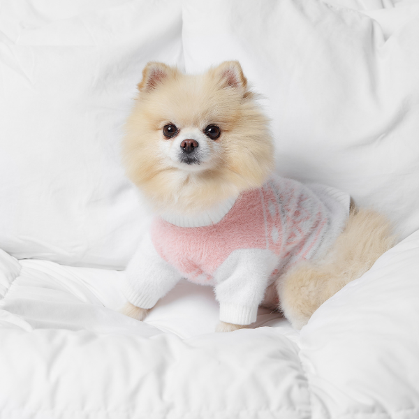 Aristopet pink puppy sweater
