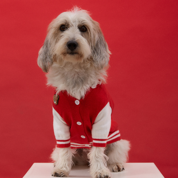 Mookie jacket rojo Aristopet