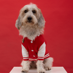 Mookie jacket rojo Aristopet