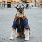 Aristopet blue Spencer jacket