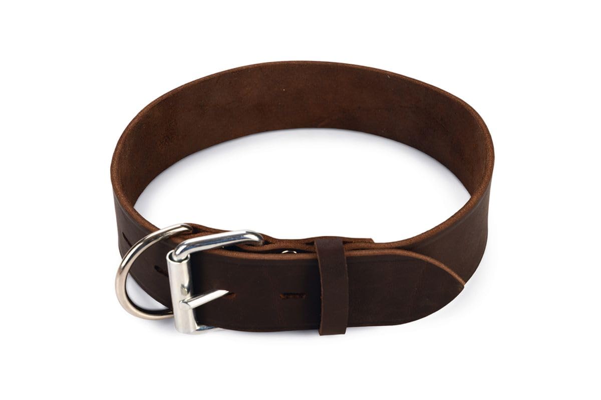 Brown Riveted Rodeo Collar