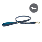 Stamped Sophie Allport Dog Leash