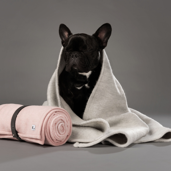 Le Collier Piolino Nude - Collar para Perros