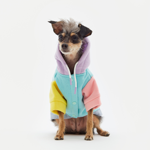 Augustus aqua hoodie Aristopet