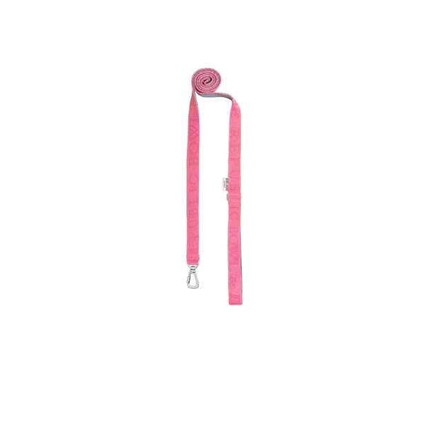 Light red Bloom harness bowl and bone