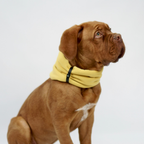 INKO Collar