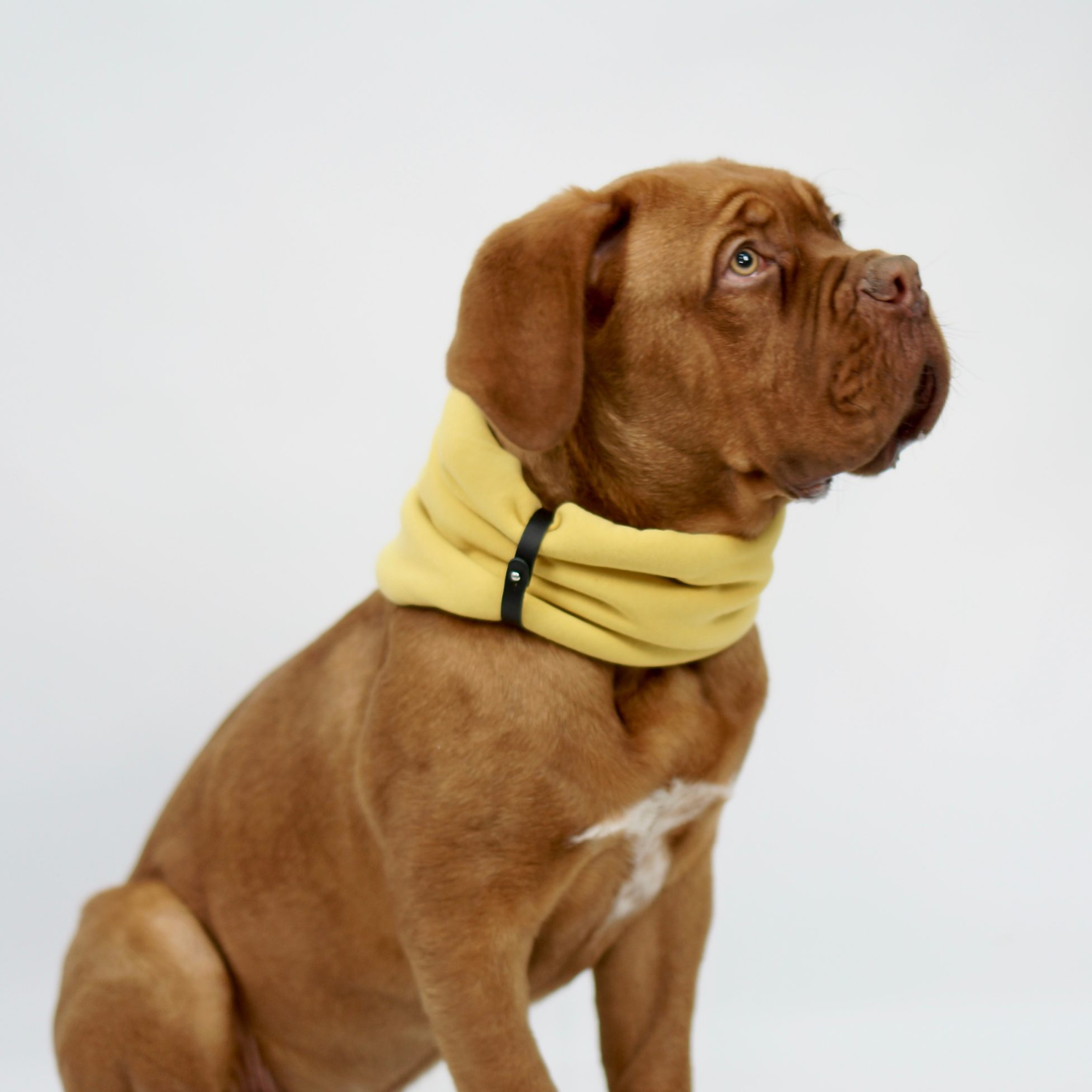 INKO Collar