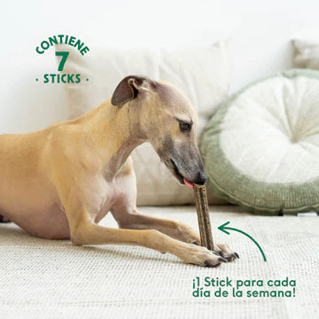 Stick Dental CALMING